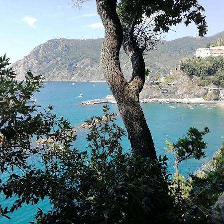 Nel Cuore Di Monterosso Cinque Terre Orto Di Ciack Μοντερόσο αλ Μάρε Εξωτερικό φωτογραφία