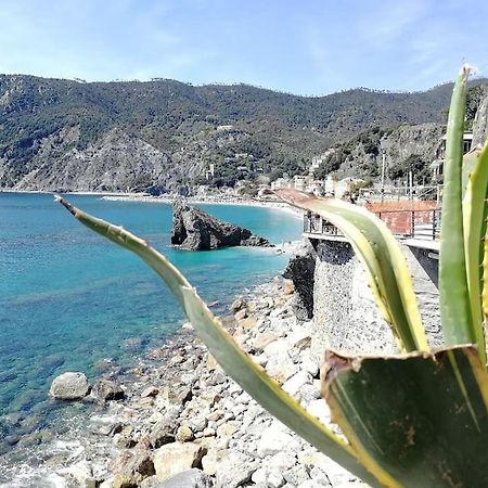 Nel Cuore Di Monterosso Cinque Terre Orto Di Ciack Μοντερόσο αλ Μάρε Εξωτερικό φωτογραφία