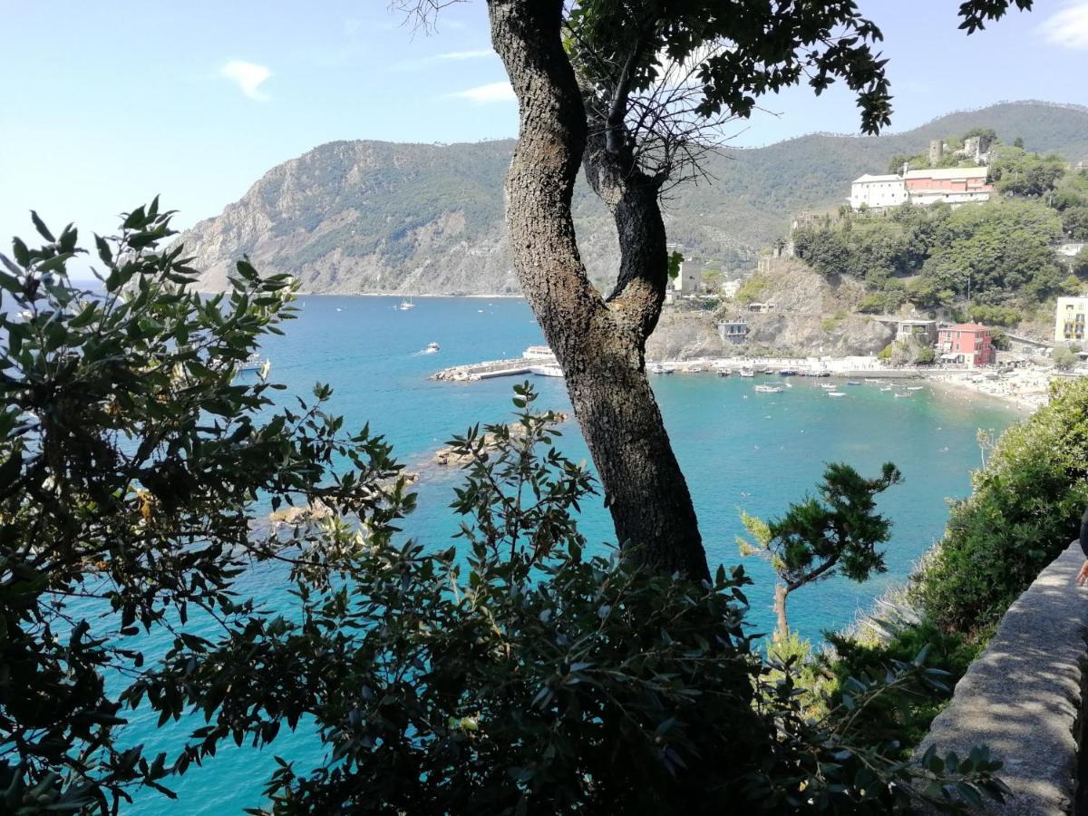 Nel Cuore Di Monterosso Cinque Terre Orto Di Ciack Μοντερόσο αλ Μάρε Εξωτερικό φωτογραφία