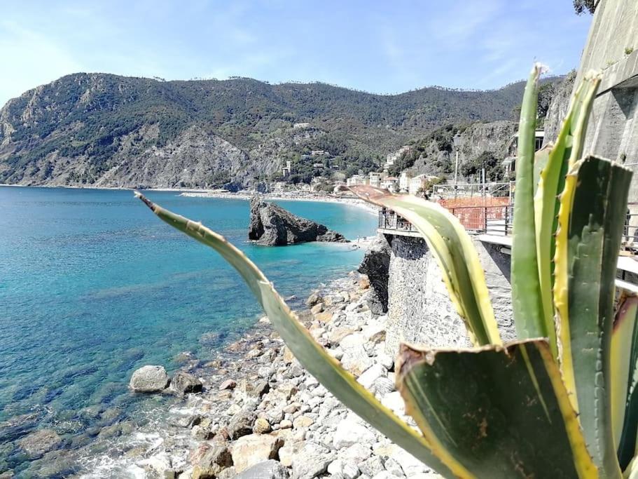 Nel Cuore Di Monterosso Cinque Terre Orto Di Ciack Μοντερόσο αλ Μάρε Εξωτερικό φωτογραφία